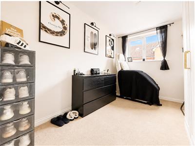 Picture 7